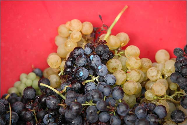 Barga Daily Image – 24 September 2008