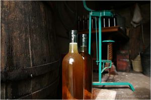 bottling-wine-in-barga-004
