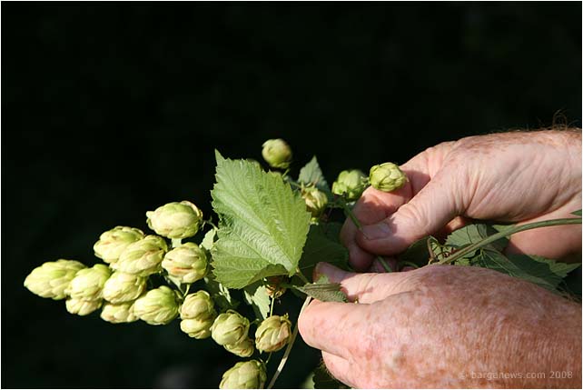 Barga Daily Image – 11 October 2008