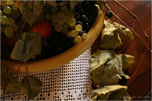 Barga Daily Image – 16 October 2008