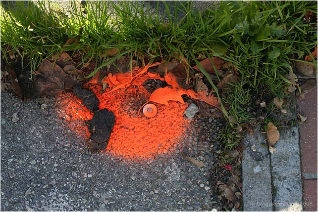 Barga Daily Image – 22 November 2008