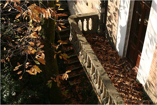 Barga Daily Image – 24 November 2008