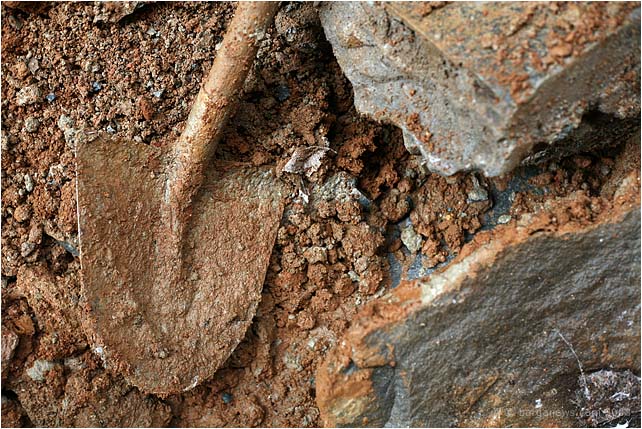 Barga Daily Image – 14 December 2008