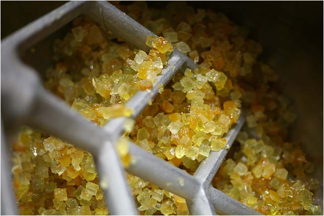 Barga Daily Image – 25 December 2008