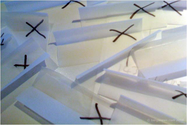 Barga Daily Image – 30 December 2008