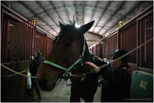 Barga Daily Image – 12 January 2009