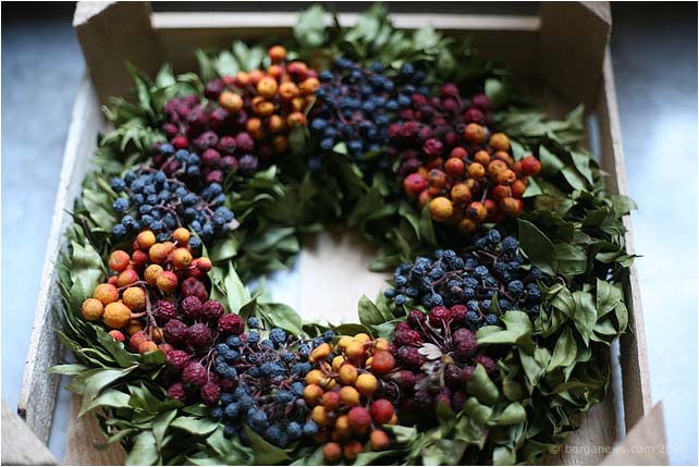 Barga Daily Image – 15 January 2009