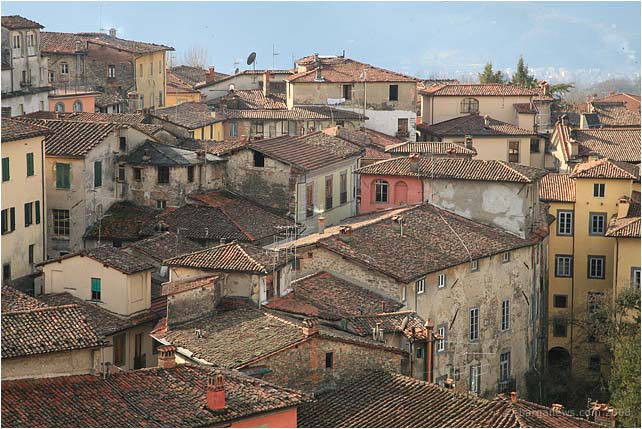 Barga Daily Image – 21 January 2009