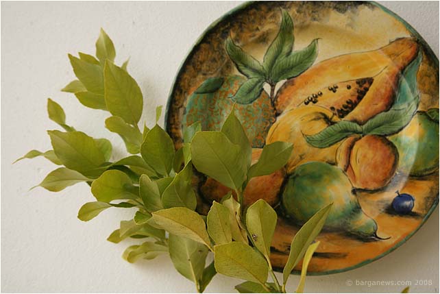 Barga Daily Image – 24 January 2009