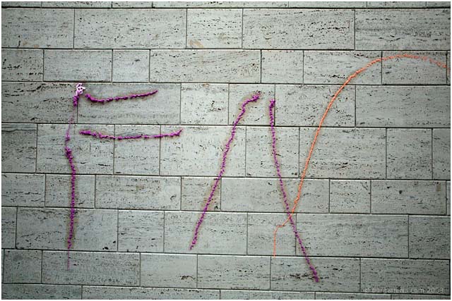 Barga Daily Image – 19 February 2009