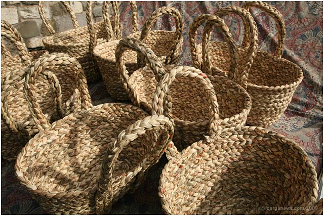 Barga Daily Image – 4 March 2009