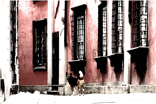 Barga Daily Image – 5 March 2009