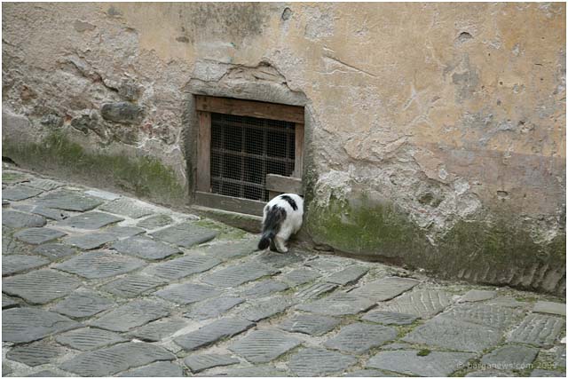 Barga Daily Image – 13 March 2009