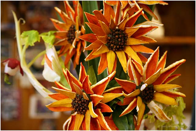 Barga Daily Image – 16 March 2009