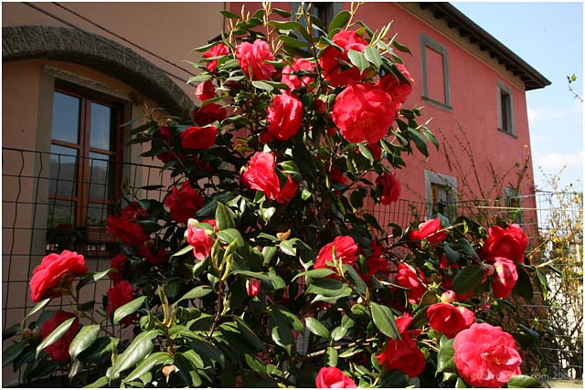 Barga Daily Image – 12 April 2009