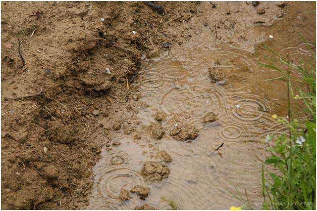 Barga Daily Image – 17 April 2009