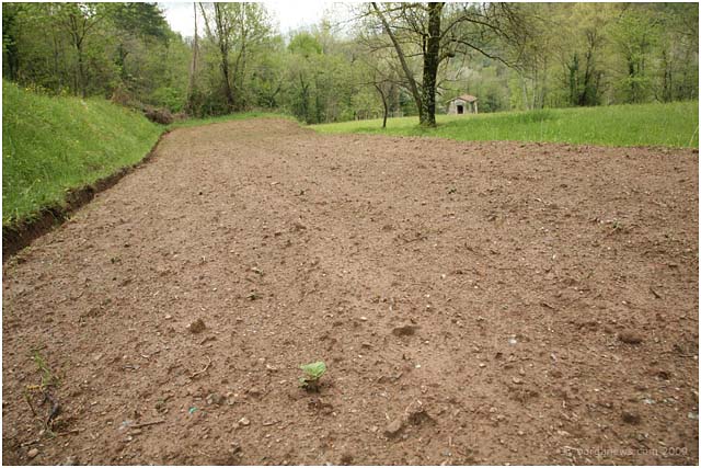 barga-_04909 barga-_04909