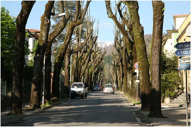 Barga Daily Image – 18 April 2009
