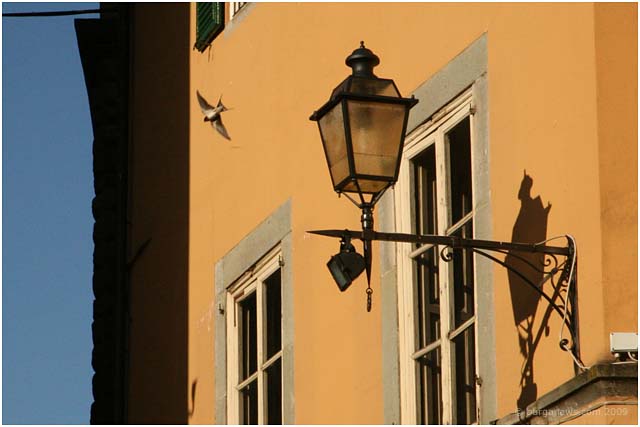 Barga Daily Image – 19 April 2009