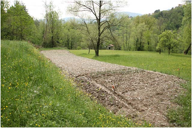 lorto-barganews-barga-001 lorto-barganews-barga-001