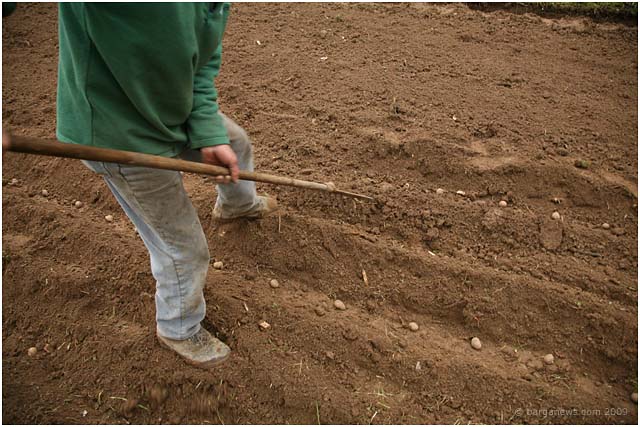 Barga Daily Image – 27 April 2009