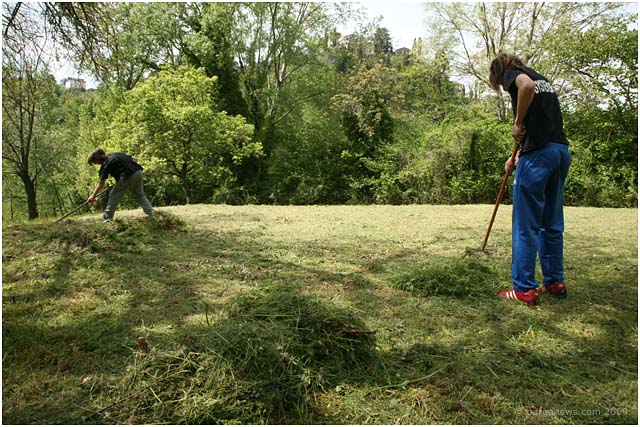 lorto-vegetable-garden-barga-002 lorto-vegetable-garden-barga-002