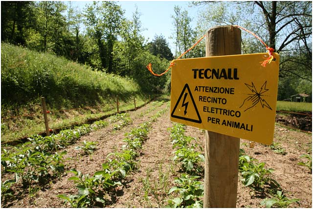 barga-_06319 barga-_06319