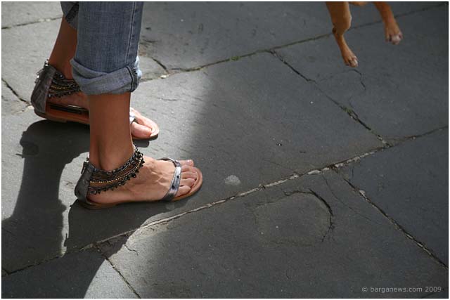 Barga Daily Image – 16 May 2009