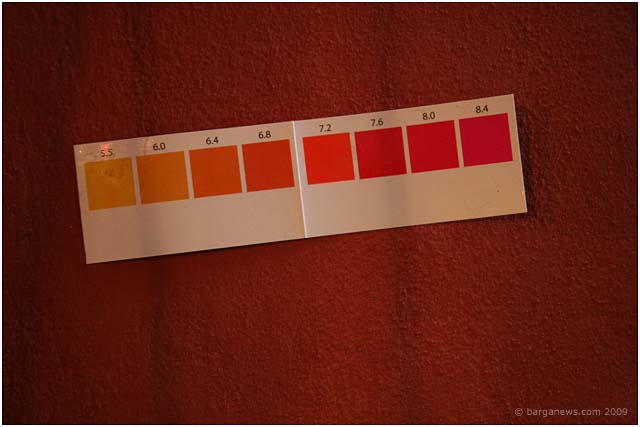 Barga Daily Image – 19 May 2009