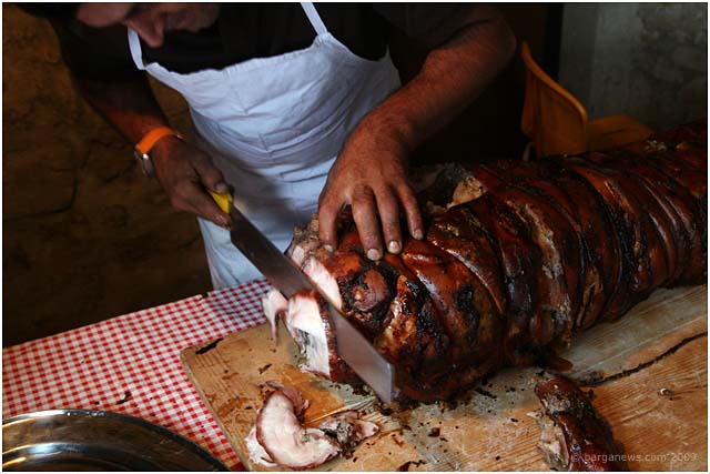 Barga Daily Image – 14 June 2009