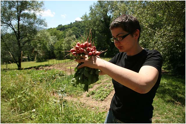 billur dokur in the barganews vegetable garden in barga 2009007 billur dokur in the barganews vegetable garden in barga 2009007