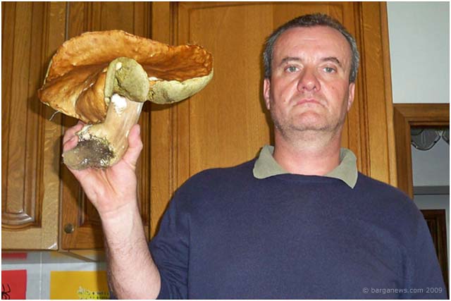 mony foto 064 mony foto 064