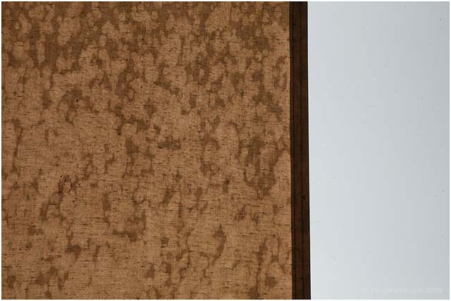 Barga Daily Image – 3 July 2009