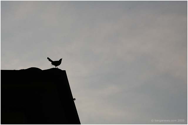 Barga Daily Image – 7 July 2009