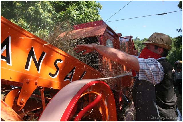 trebbiatura grain threshing in barga 2009030 trebbiatura grain threshing in barga 2009030