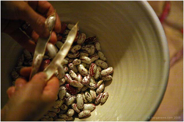 Barga Daily Image – 5 August 2009