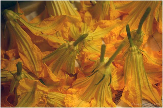 Barga Daily Image – 6 August 2009