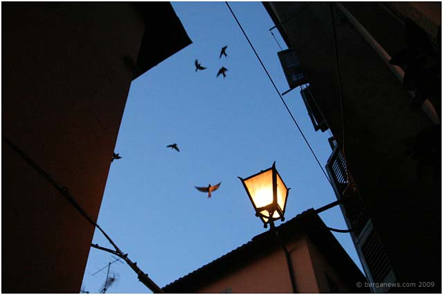 Barga Daily Image – 16 August 2009