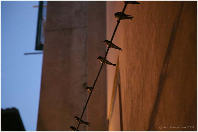 barga _19251 barga _19251