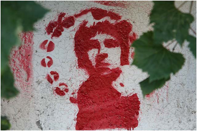 Barga Daily Image – 18 August 2009