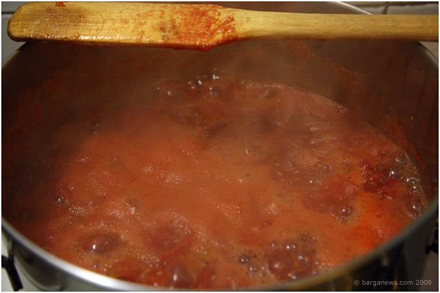 Barga Daily Image – 1 September 2009