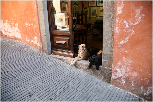 Barga Daily Image – 3 September 2009