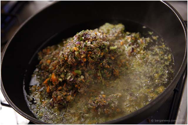 Barga Daily Image – 9 September 2009