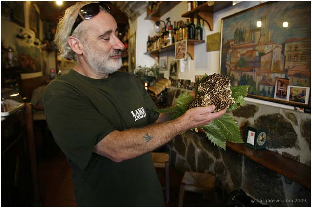 barga _22007 barga _22007