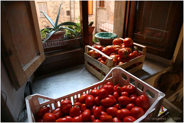 lorto vegetable garden in barga 2009006 lorto vegetable garden in barga 2009006