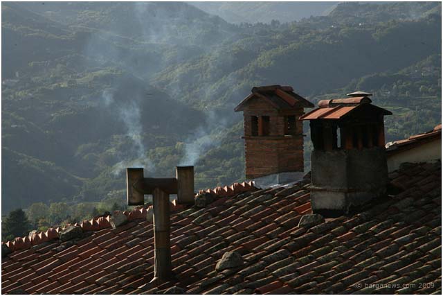 barga _25537 barga _25537