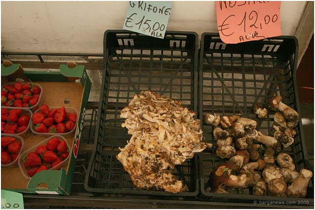 Barga Daily Image – 14 October 2009