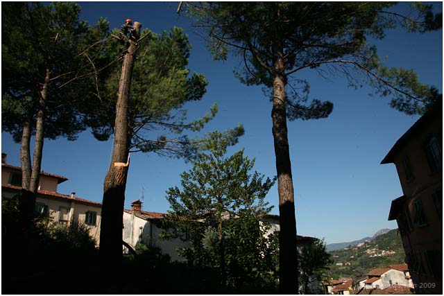 Barga Daily Image – 16 October 2009