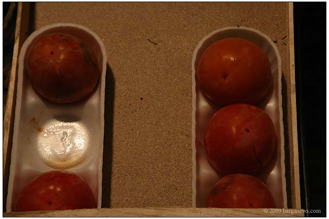 Barga Daily Image – 24 November 2009