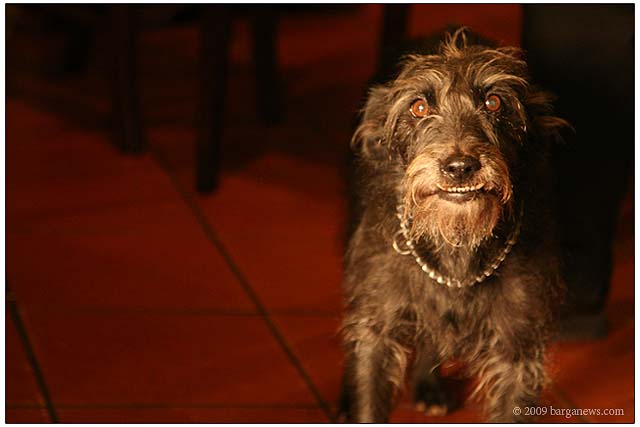 Barga Daily Image – 1 November 2009